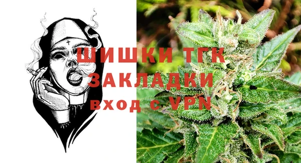 молекула духа Богданович