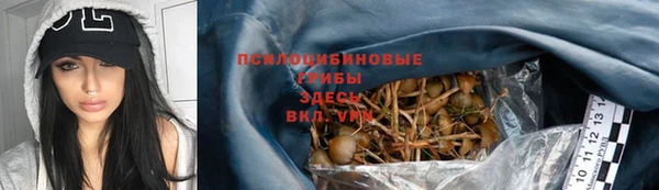 ECSTASY Богородицк