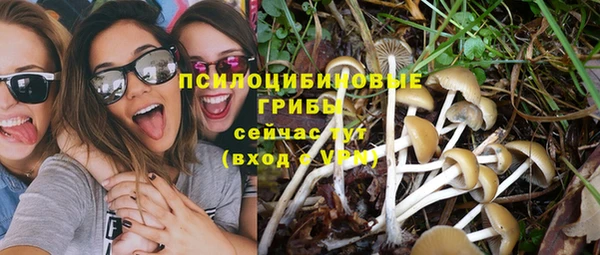 ECSTASY Богородицк