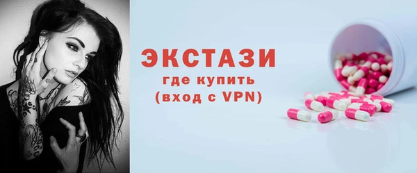 ECSTASY Богородицк