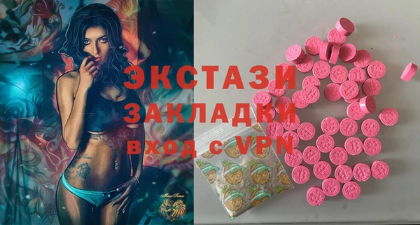 ECSTASY Богородицк