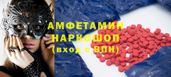 молекула духа Богданович