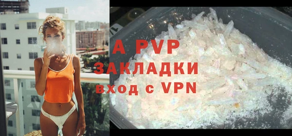 ECSTASY Богородицк