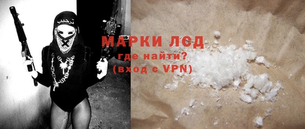 молекула духа Богданович