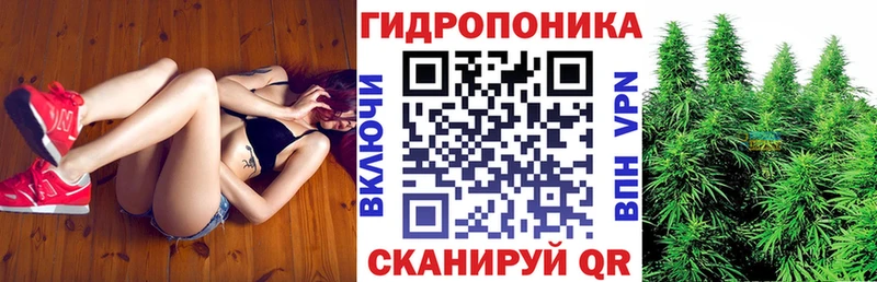 Бошки Шишки OG Kush  Кизел 